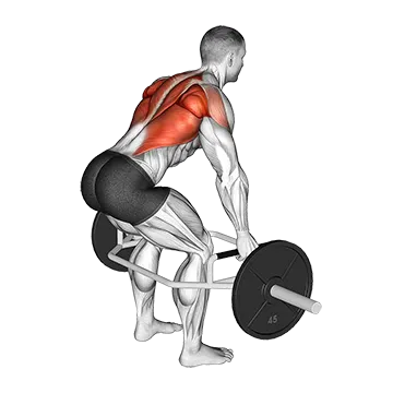 Best Trap Bar Workouts Trap Bar Bent Over Row