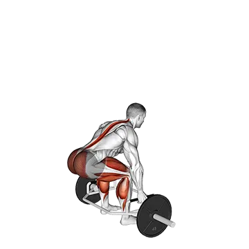 Best Trap Bar Workouts Trap Bar Jump Squat