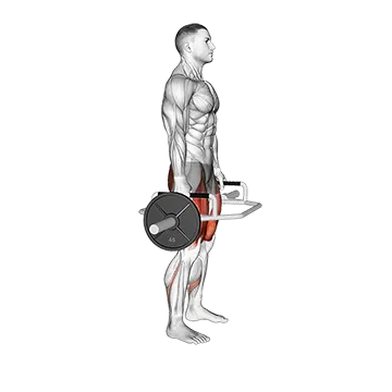Best Trap Bar Workouts Trap Bar Squat