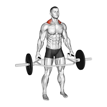 Trap Bar Standing Shrug