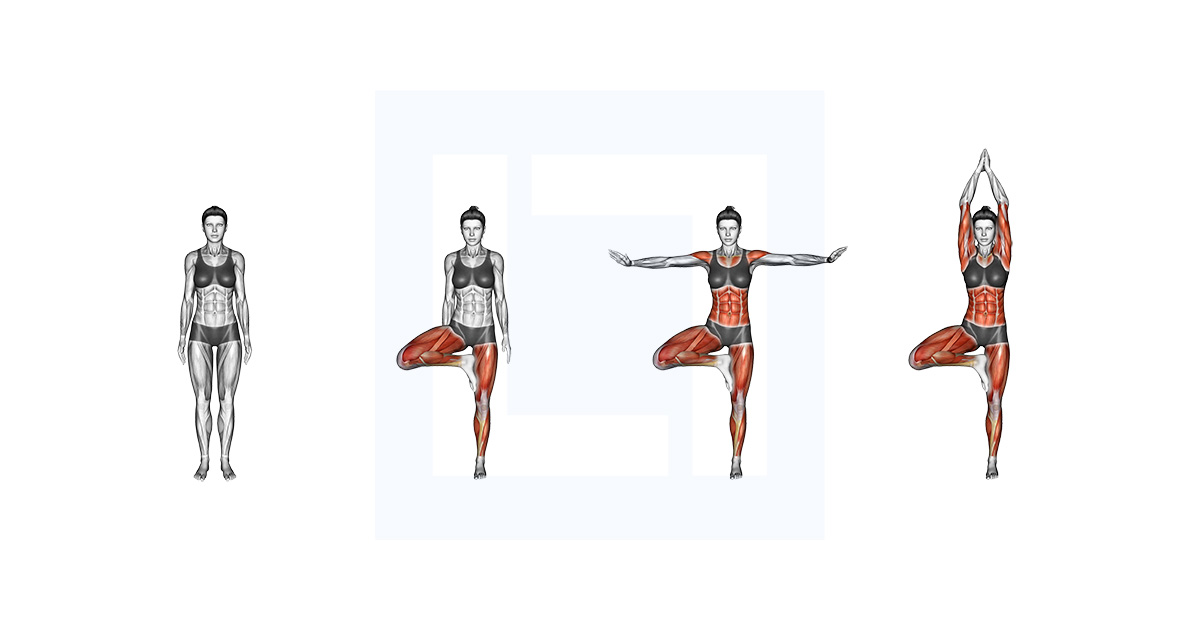 Reverse Plank Open The Chest And Build Posterior Core
