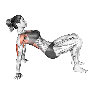 30 Day Calisthenics Workout Plan For Beginners Triceps Dip Floor