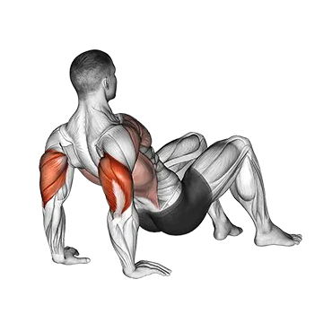 Best At Home Tricep Workouts Triceps Dips Floor