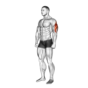Best At Home Tricep Workouts Triceps Stretch