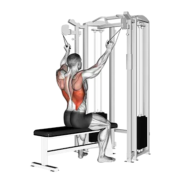 Twin Handle Parallel Grip Lat Pulldown