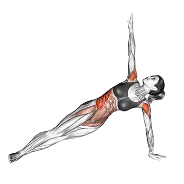 Twist Side Bridge