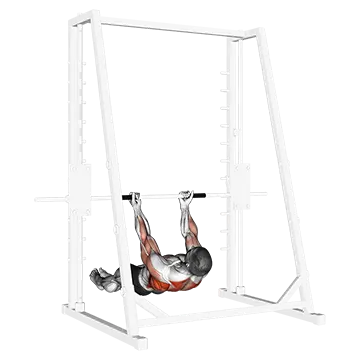 Underhand Grip Inverted Back Row