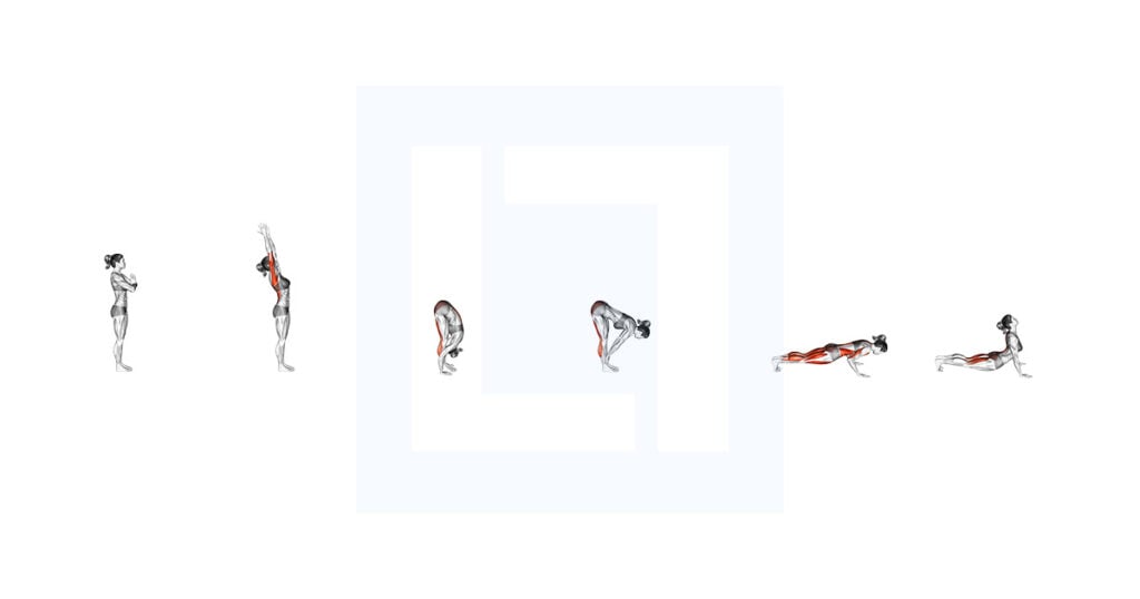 Vinyasa