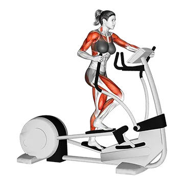 Walk Elliptical Cross Trainer