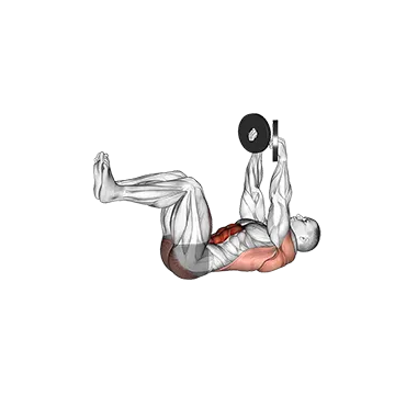 Best Dead Bug Ab Workouts Weighted Dead Bug