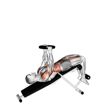 Best Ab Workouts With Weights Weighted Decline SitUp