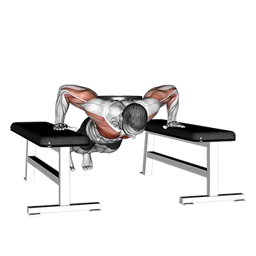 Weighted Drop Push Up