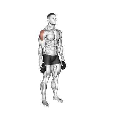 Weighted Full Can Exercise