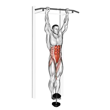 Best Weighted Ab Workouts Weighted Hanging Leg Hip Raise