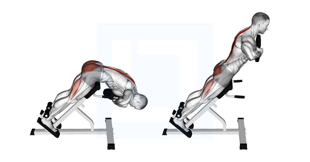 Weighted Hyperextension Loaded Lower Back And Glutes