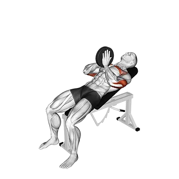 Weighted Incline Svend Press