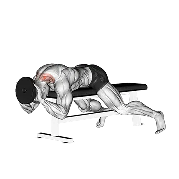 Weighted Lying Neck Extension