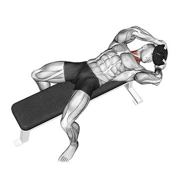Weighted Lying Neck Head Twist