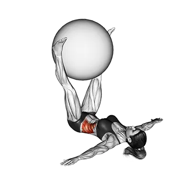 Best Stability Ball Ab Workouts Weighted Lying Twist