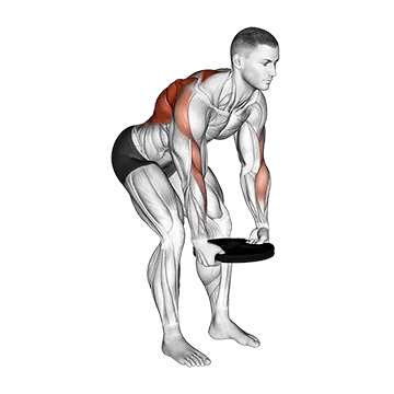 Weighted Plate Bent Over Row