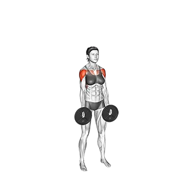 Weighted Plate Standing Around the World