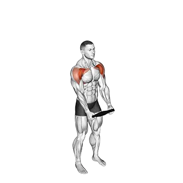 Weighted Plate Standing High Front Raise