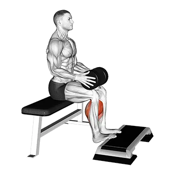 Best Soleus Exercises Weighted Seated Calf Raise