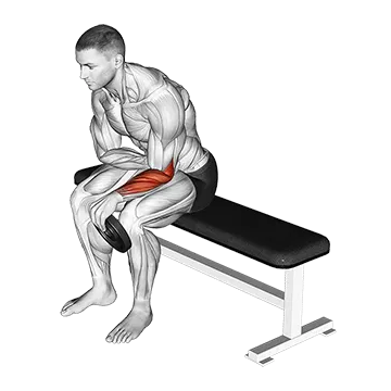 Weighted Seated One Arm Reverse Wrist Curl