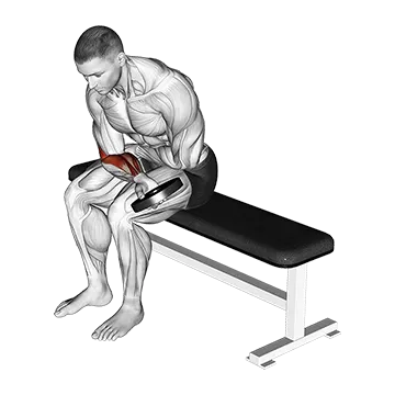 Weighted Seated One Arm Wrist Curl