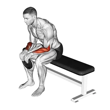 Weighted Seated Reverse Wrist Curl