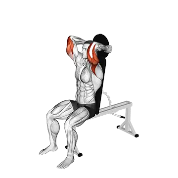 Weighted Seated Triceps Extension