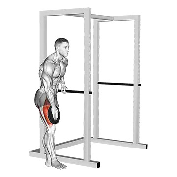 Weighted Single Leg Lift