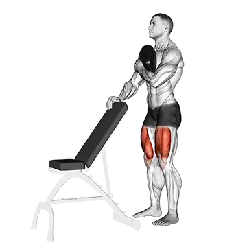 How To Get Stronger Quads Weighted Sissy Squat
