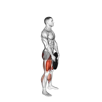 Weighted Squat Jump With Plate