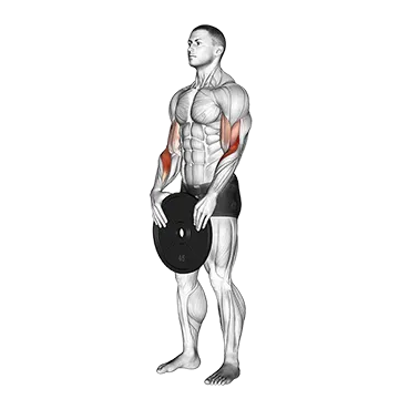 Weighted Standing Curl