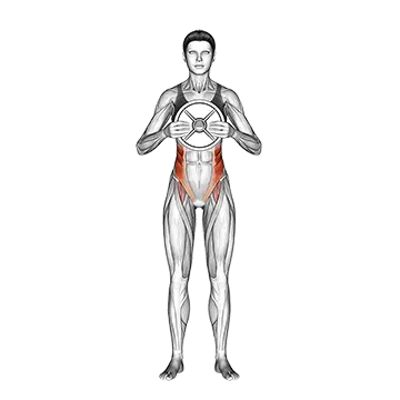 Weighted Standing Twist