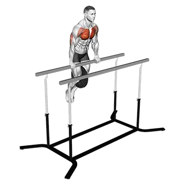 Weighted Straight Bar Dip