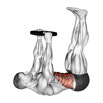 Weighted Straight Leg Toe Touch Crunch