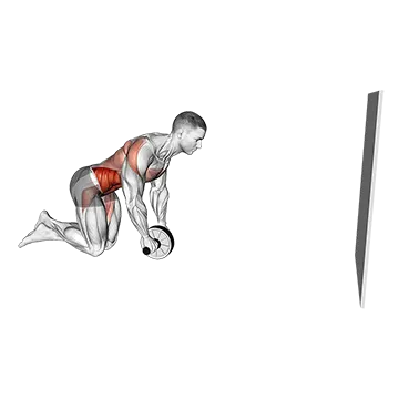 Best Ab Wheel Workouts Wheel Rollout With Wall Support