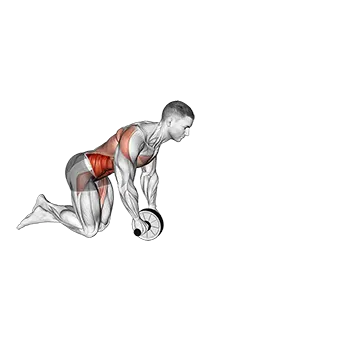 Best Ab Wheel Workouts Wheel Rollout