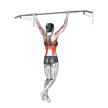 Wide Chin Up