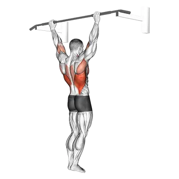 Best Bodyweight Lat Workouts Wide Grip Rear Pull Up
