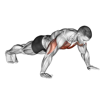 Best Calisthenics Chest Workouts Wide Hand Push Up