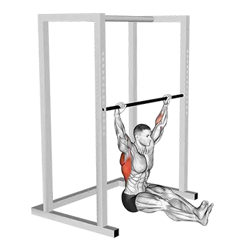Wide Seated Pull Up