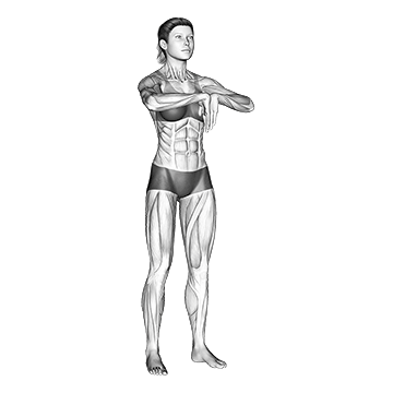 How To Fix Golfers Elbow Wrist Extensor Stretch