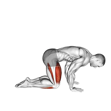 Best Quad Stretches Yoga Vajrasana Thunderbolt Diamond Pose
