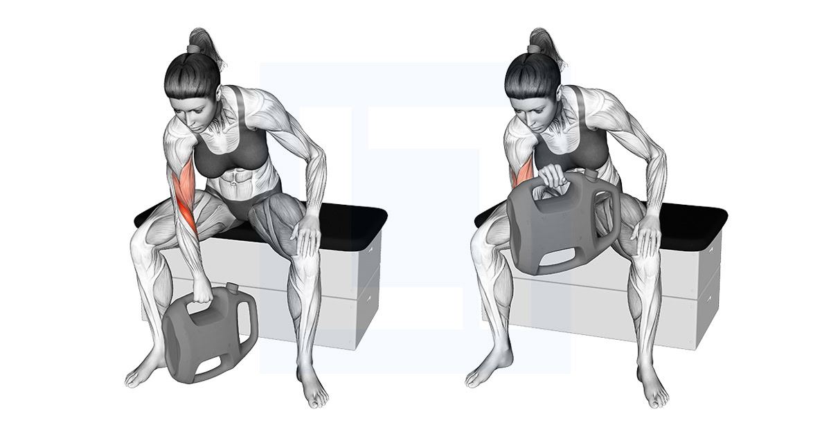 Bottle Weighted Reverse Grip Concentration Curl
