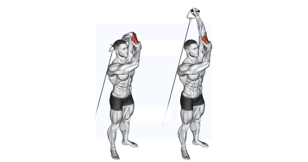 Alt Extension Exercise Cable Alt Triceps Extension: Single Arm Tricep