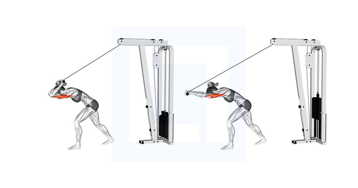 Cable Bar High Pulley Overhead Tricep Extension