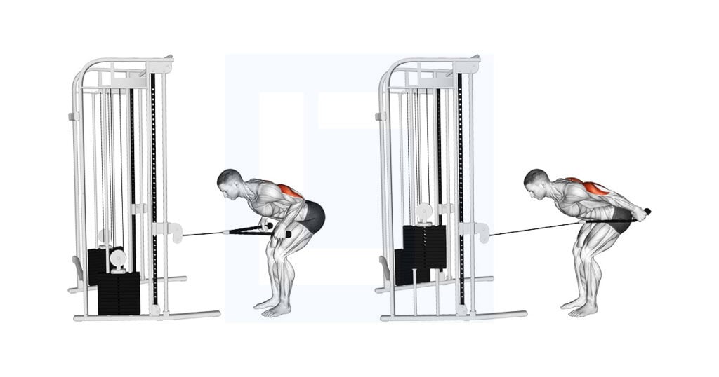 Cable Bent Over Neutral Grip Kickback With Rope Attachment